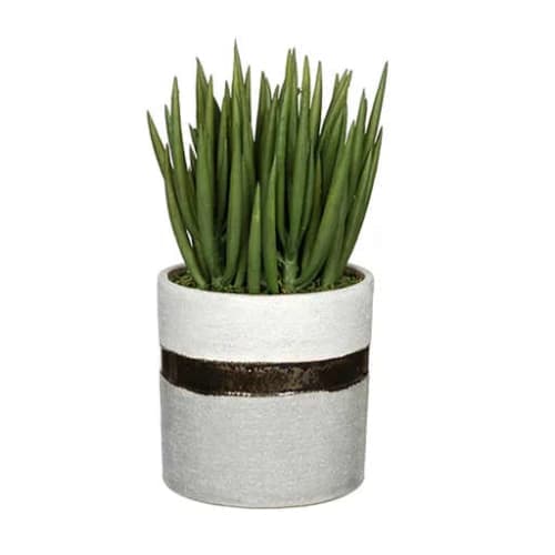 Artificial Sea Sanded Ceramic Aloe Plant in Decorative Vase image