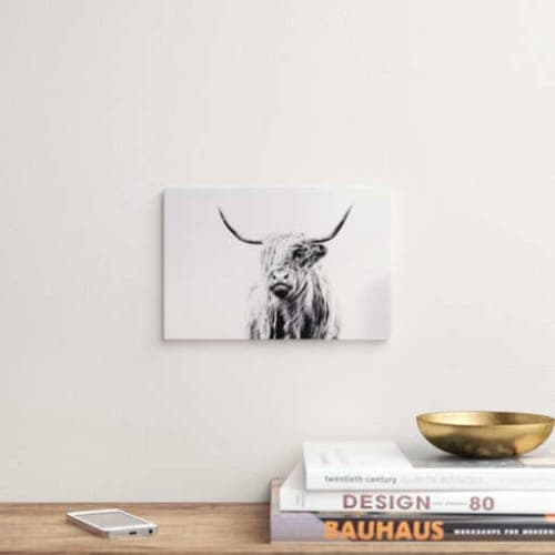 Portrait Of A Highland Cow by Dorit Fuhg image