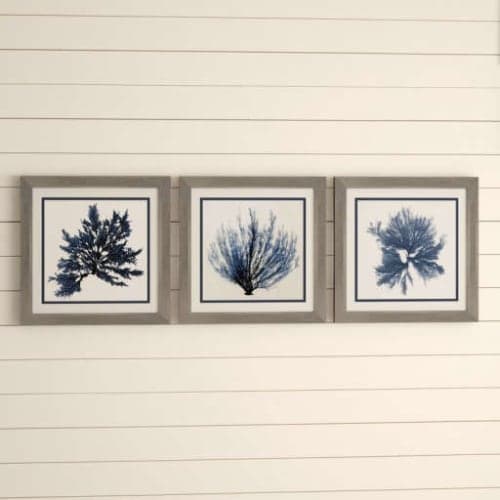 'Coastal Seaweed' 3 Piece Picture Frame Graphic Art Set image