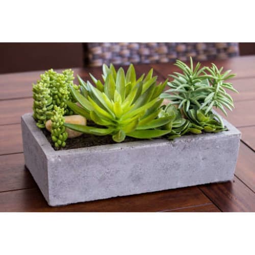 Floor Succulent Plant in Concrete Planter image