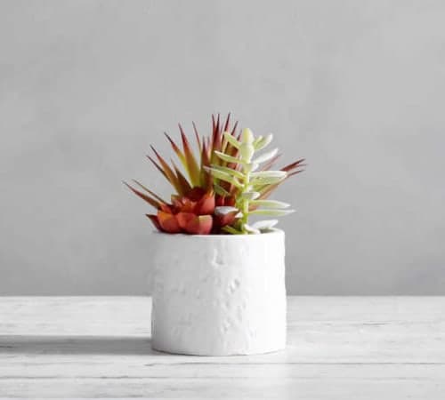 Faux Potted Succulent Arrangement image