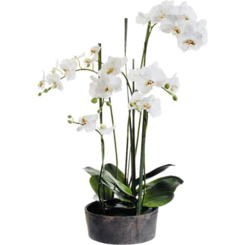 Faux Phalaenopsis Orchids with Clay Pot image