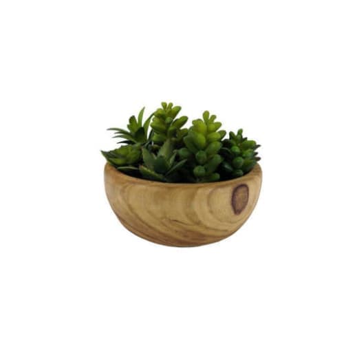 Desktop Artificial Herbs Succulent in Pot image