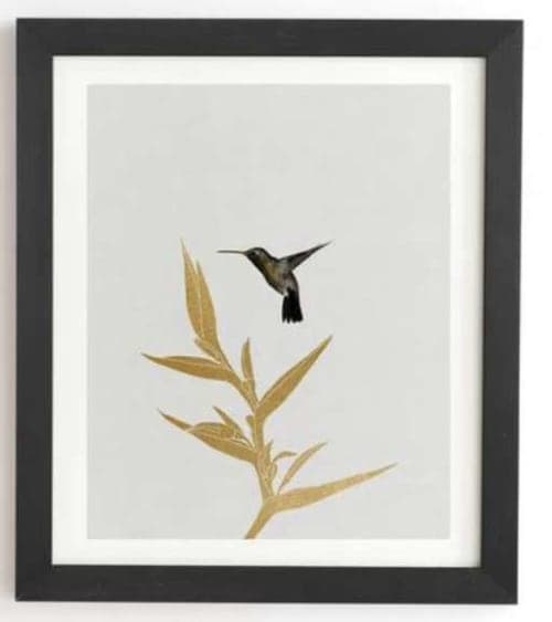 Hummingbird and Flower image