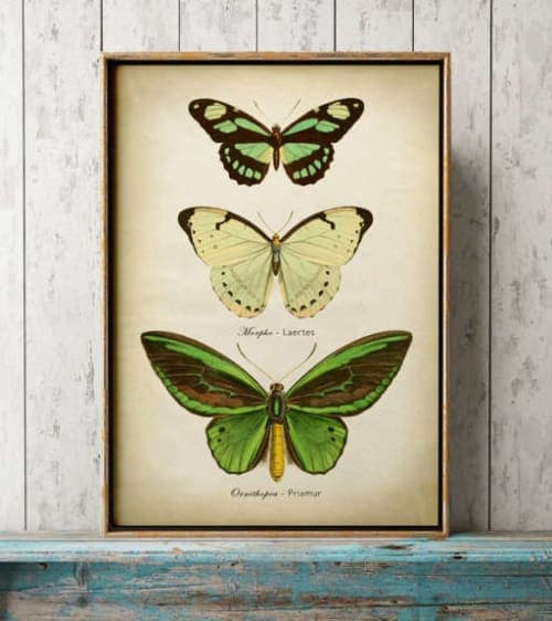 green butterflies wall decor image