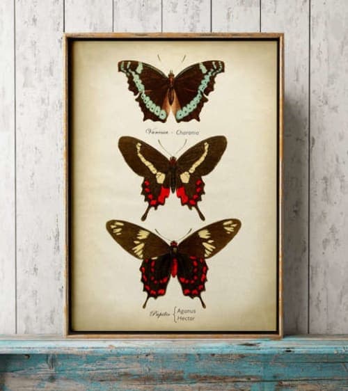butterflies wall decor 12''x16'' image