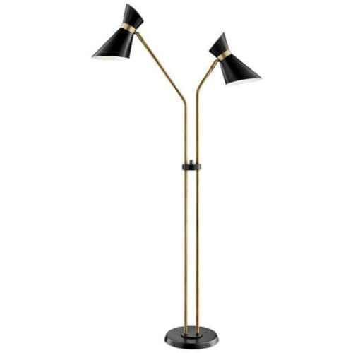 Lite Source Jared Black and Antique Brass 2-Arm Floor Lamp image