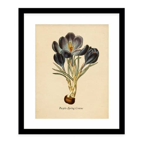 BotanicalPicture Frame Graphic Art Print on Paper image