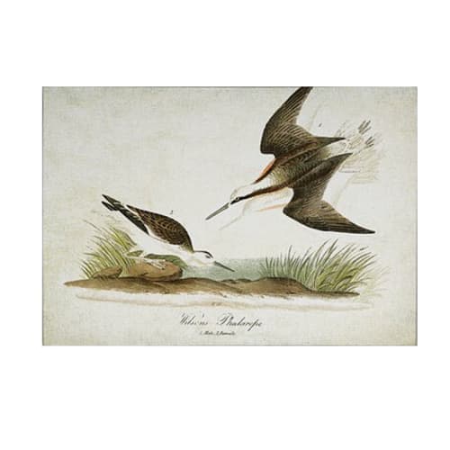 Vintage Floral and Animal Prints 4 Piece Painting Print Set on Canvas_1 image