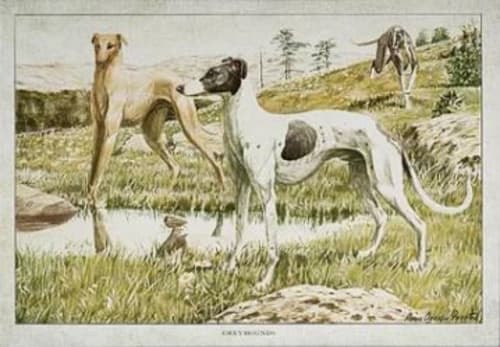 Vintage Floral and Animal Prints 4 Piece Painting Print Set on Canvas_2 image