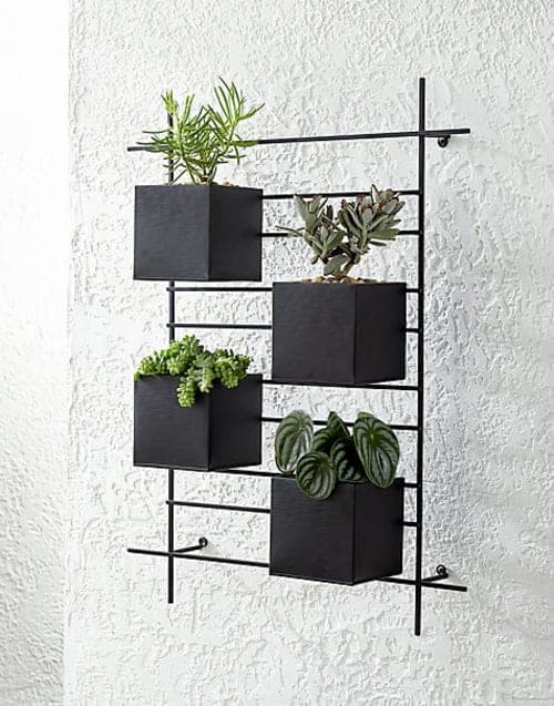4 Box Wall Mounted Planter image