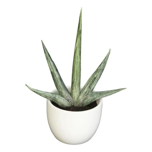 Faux Potted Southwest Plants Set of 3 image