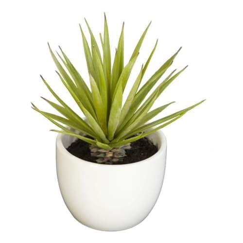 Faux Potted Southwest Plants image
