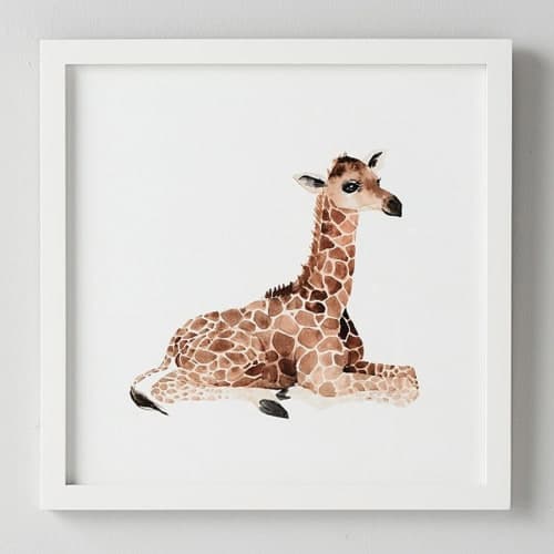 Baby Giraffe Framed Art image