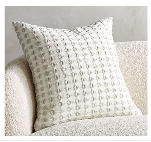20 Estela Grey And White Pillow With Insert-20"x20" image