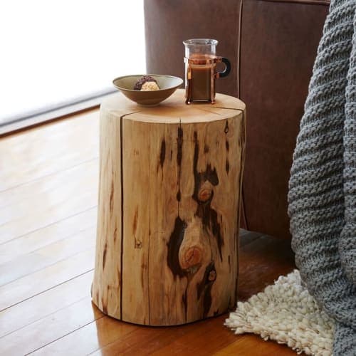 Natural Tree Stump Side Table image