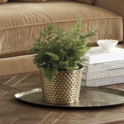 Bunny Williams Beaded Brass Cachepot image