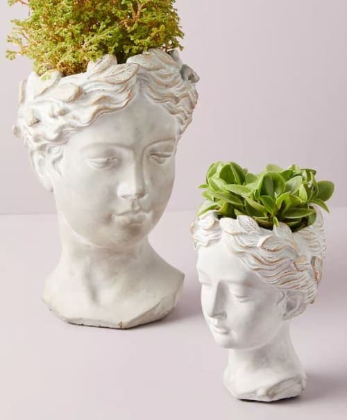 Grecian Bust Pot image