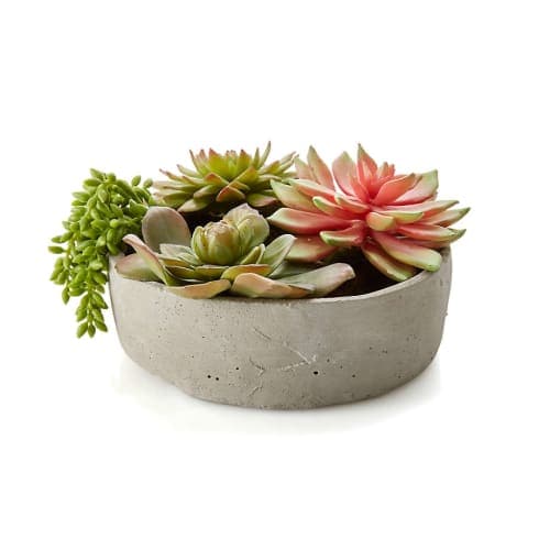 Artificial Succulents in Low Round Pot image