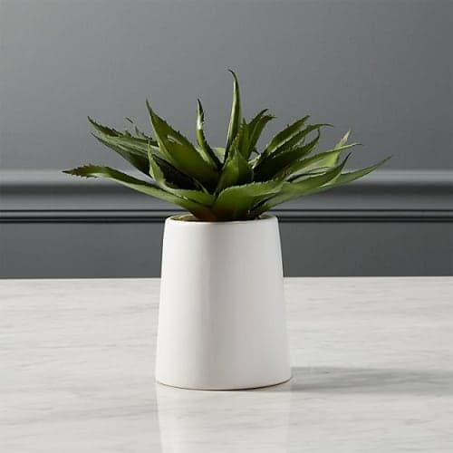 Potted Faux Aloe image