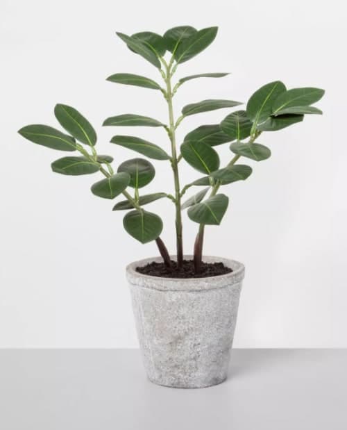 Faux ZZ Potted Plant image