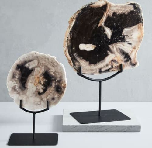 Petrified Wood Object on Stand1 image