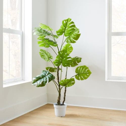 Faux Potted Monstera image