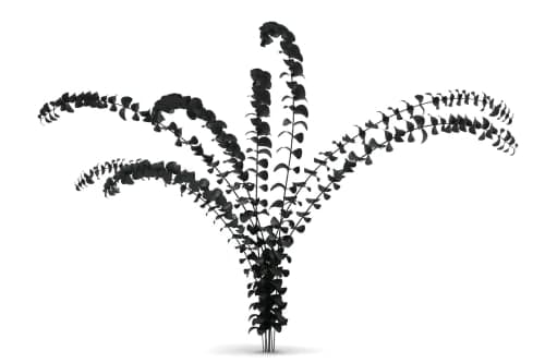 Eucalyptus Bundle image