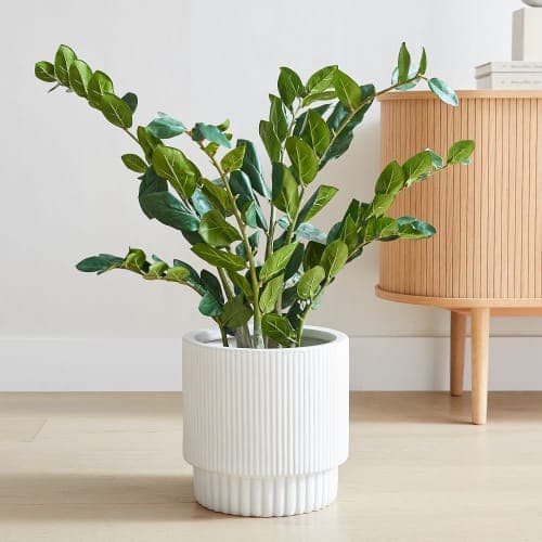 Faux Potted ZZ Plant and Fluted White Ceramic Floor Planter Set image