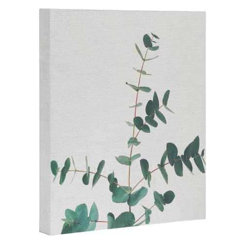 CASSIA BECK THE EUCALYPTUS ART CANVAS image