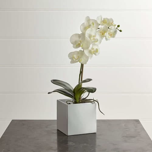 Artificial Large Potted Orchid Plant image