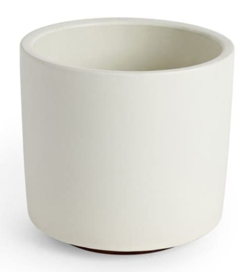 MODERNICA SMALL CYLINDER PLANTER WITH WALNUT BASE image