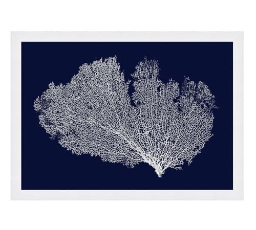 Navy Coral Print With Frame image