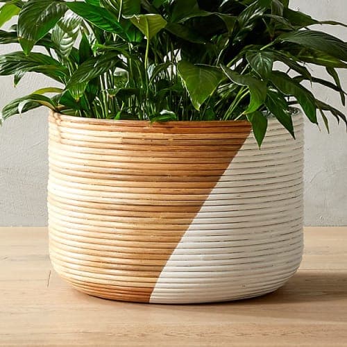 BASKET SMALL WHITE PLANTER image