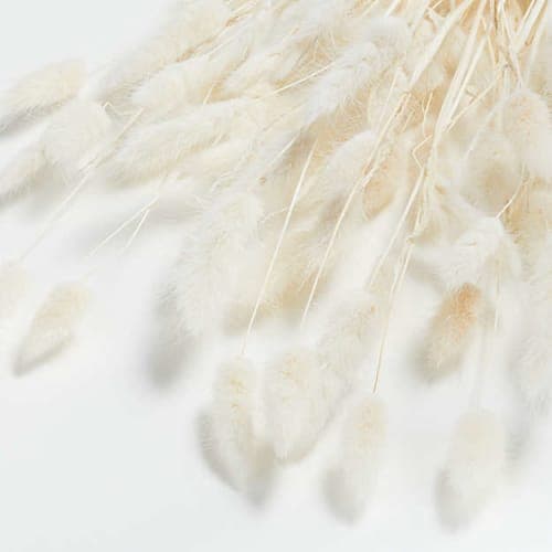 Bunny Tail Bunch image