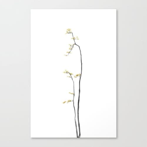 Bonsai Tree I Canvas Print image