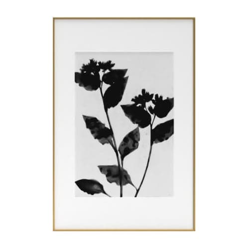 Black and White Moody Floral Framed Art Print with frame-24"x36" image