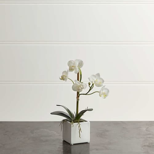 Artificial Potted Orchid Plant image