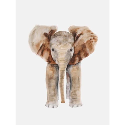 Braddy Baby Elephant Portrait No Frame 10"x14" image