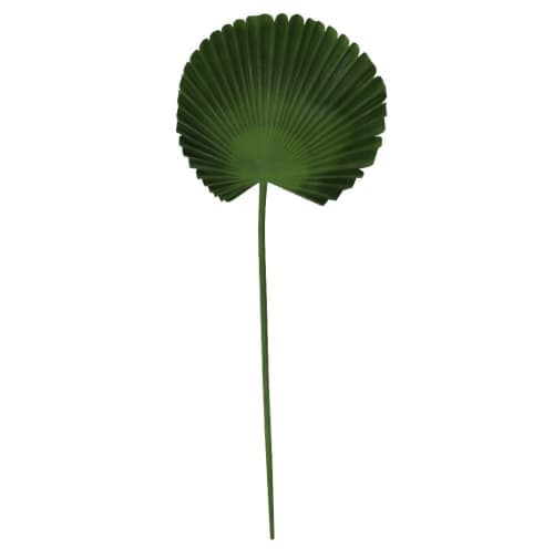 Faux Botanicals - Fan Palm image