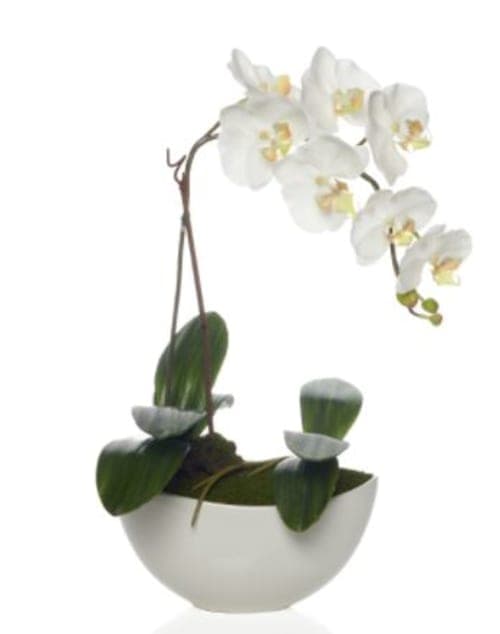 FAUX POTTED PHALAENOPSIS image