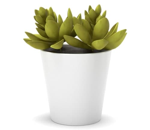 Faux Potted Echeveria Succulent Plant image