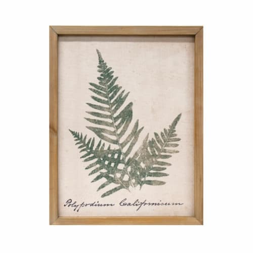 Botanical Prints Polypodium With Frame image