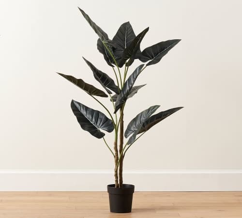 Faux Alocasia Tree image