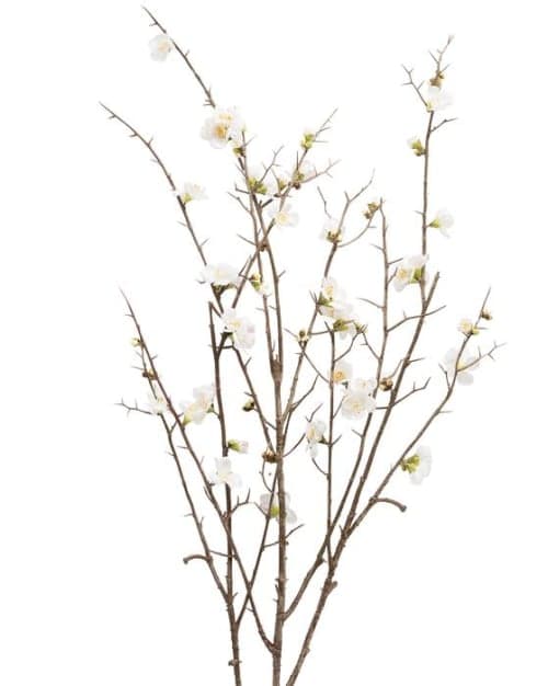 Faux Quince Blossom Stem image