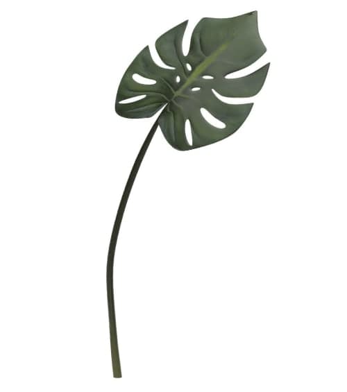Faux Green Monstera Plant Leaf Stem image