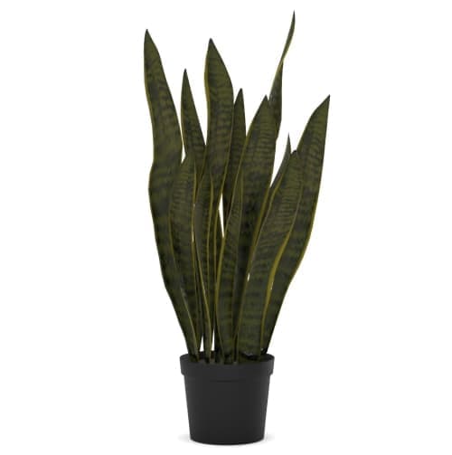 Faux Snake Plant image