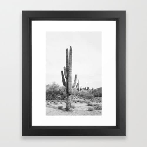 Desert Cactus BW Framed Art Print image