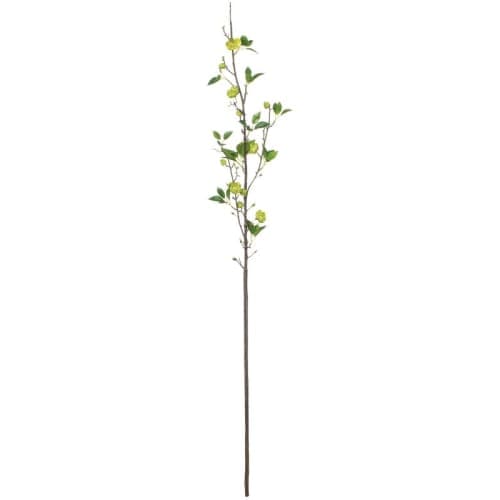 Chinese Flowering Crab-Apple Cherry Blossom Stem image