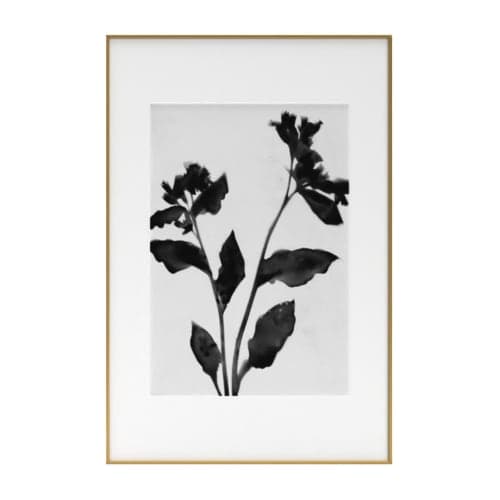 Black and White Moody Floral 2 Framed Art Print with frame-24"x36" image